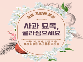 [썸네일 이미지] 사과 묘목, 소비 경향 맞춰 골라 심으세요 