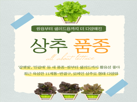 [썸네일 이미지] 처음 보는 상추네~ ‘쌈부터 샐러드까지’ 