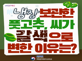 [썸네일 이미지] 냉장 보관 풋고추, 씨가 갈색으로 변한 이유는?