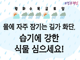 [썸네일 이미지] 물에 자주 잠기는 길가 화단, 습기에 강한 식물 심으세요!
