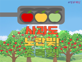 [썸네일 이미지] 사과도 노란빛! 초록빛!