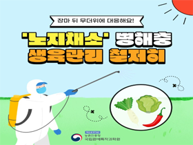 [썸네일 이미지] '노지채소' 병해충 생육관리 철저히