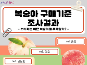 [썸네일 이미지] 복숭아 구매기준 조사결과 소비자는 어떤 복숭아에 주목할까?