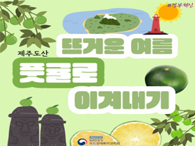 [썸네일 이미지] 반짝 출하 여름 풋귤, 더 건강하게 즐기기 