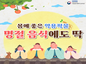 [썸네일 이미지] 몸에 좋은 약용작물, 명절 음식에도 딱 