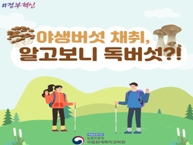 [썸네일 이미지] 야생버섯 채취, 알고보니 독버섯?!