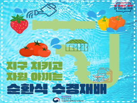 [썸네일 이미지]  환경보전, 자원절약 '순환식 수경재배' 보급 늘린다 