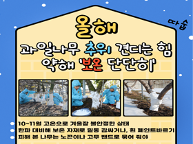 [썸네일 이미지] 올해 과일나무 추위 견디는 힘 약해 '보온 단단히'