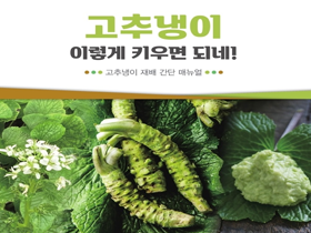 [썸네일 이미지] 이달의 신간, "고추냉이, 이렇게 키우면 되네"