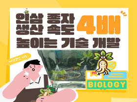 [썸네일 이미지] 인삼 종자 생산 속도 4배 높이는 기술 개발 