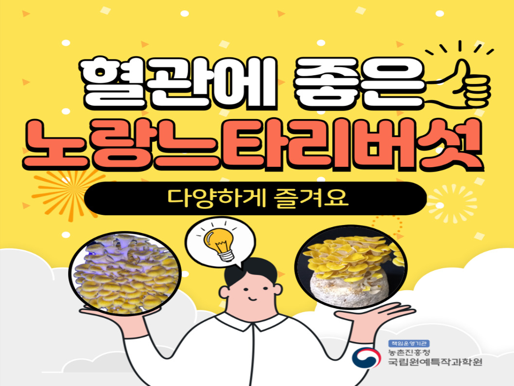 [썸네일 이미지] #1 혈관에 좋은 노랑느타리버섯 다양하게 즐겨요