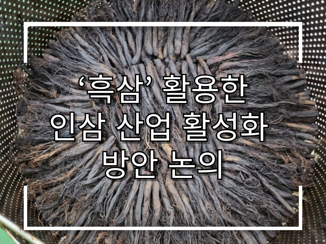 [썸네일 이미지] ‘흑삼’ 활용한 인삼 산업 활성화 방안 논의