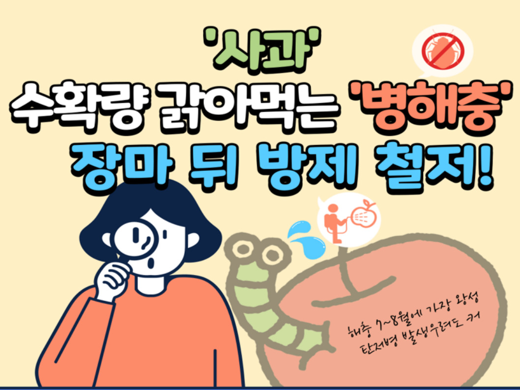 [썸네일 이미지] '사과' 수확량 갉아먹는 '병해충' 장마 뒤 방제 철저!