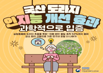 [썸네일 이미지] 국산도라지 인지능 개선효과 과학적으로 입증