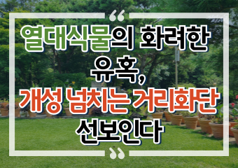 [썸네일 이미지] “열대식물의 화려한 유혹” 개성 넘치는 거리화단 선보인다