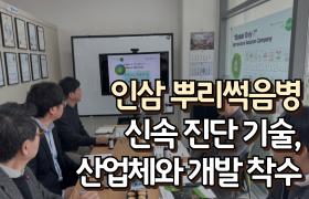 [썸네일 이미지] 인삼 뿌리썩음병 신속 진단 기술, 산업체와 개발 착수