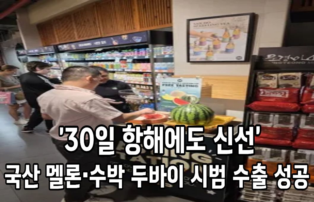 ‘30일 항해에도 신선’ 국산 멜론·수박 두바이 시범 수출 성공