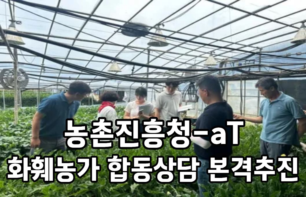 농촌진흥청-aT, 화훼농가 합동 상담(컨설팅) 본격 추진 