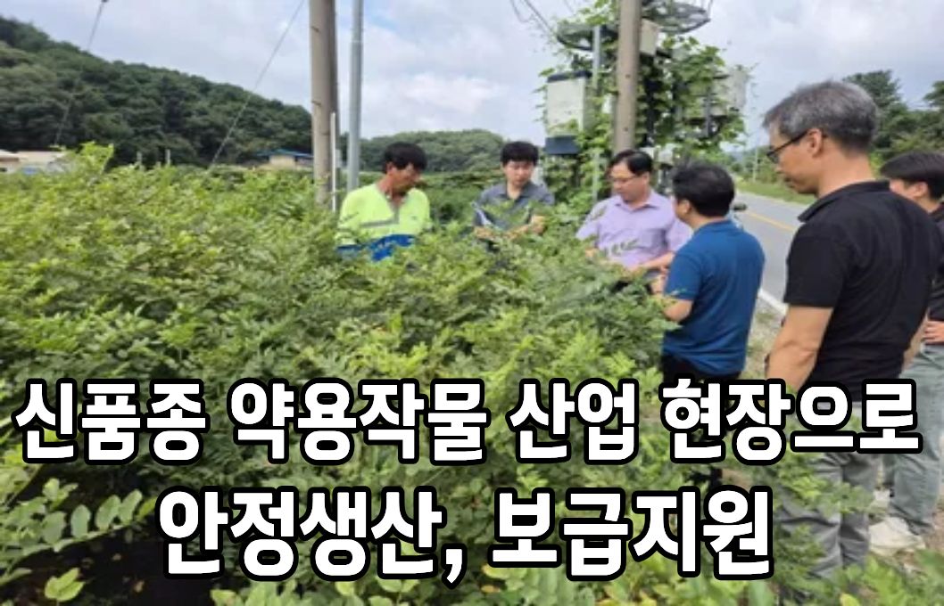 “신품종 약용작물 산업 현장으로” 안정 생산, 보급 지원