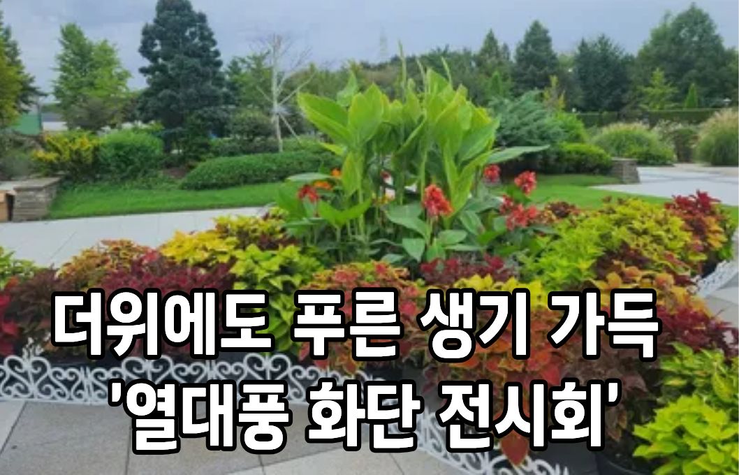 더위에도 푸른 생기 가득 ‘열대풍 화단 전시회’