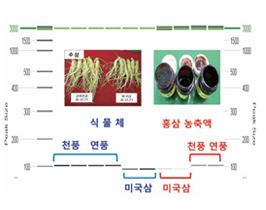 image : Origin identification technology for Korean and foreign ginsengs