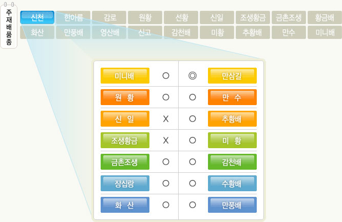 주재배품종 신천 이미지