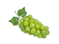 포도(샤인머스캣)