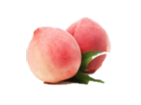 복숭아(백도)
