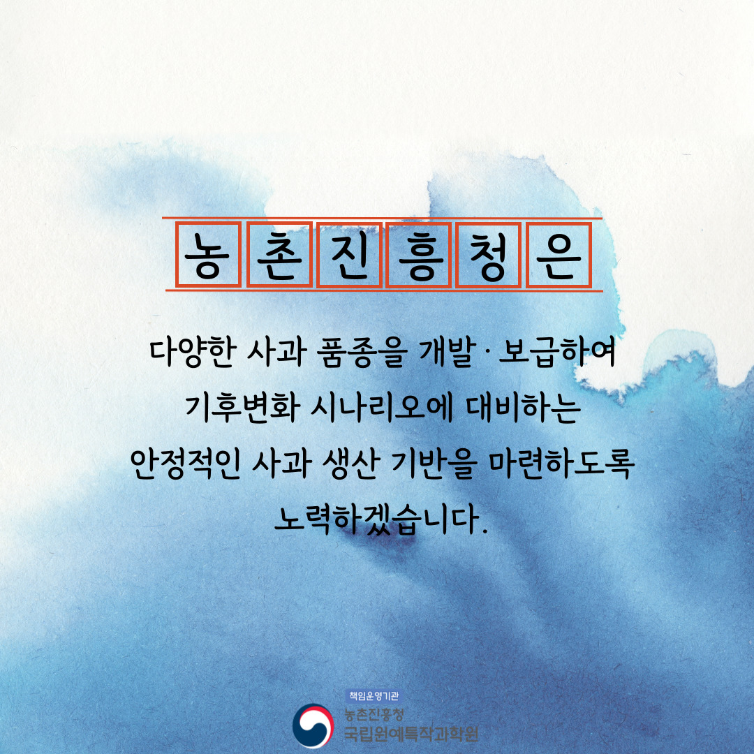 농촌진흥청은 다양한 사과 품종을 개발 보급하여 기후변화 시나리오에 대비하는 안정적인 사과 생산 기반을 마련하도록 노력하겠습니다. 책임운영기관 농촌진흥청 국립원예특작과학원 