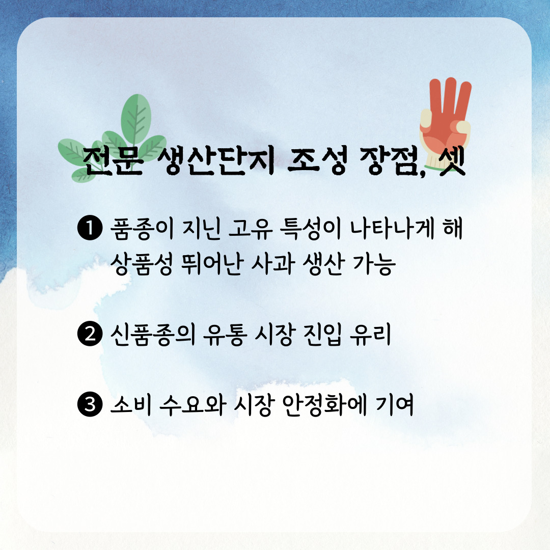 전문 생산단지 조성 장점, 셋 1. 품종이 지닌 고유 특성이 나타나게 해 상품성이 뛰어난 사과 생산 가능 2. 신품종의 유통 시장 진입 유리 3. 소비 수요와 시장 안정화에 기여 