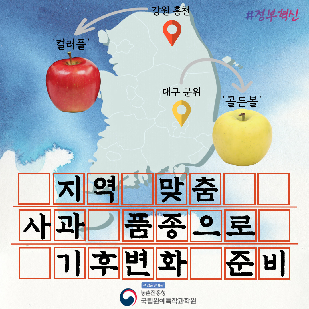 #정부혁신 강원 홍천 컬러풀 대구 군위 골든볼 지역 맞춤 사과 품종으로 기후변화 준비 책임운영기관 농촌진흥청 국립원예특작과학원 