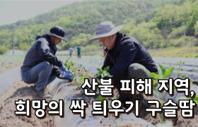 [썸네일 이미지] 산불 피해 지역, 희망의 싹 틔우기 구슬땀