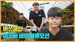 버섯체인 구축 이곳이 바로 블루오션