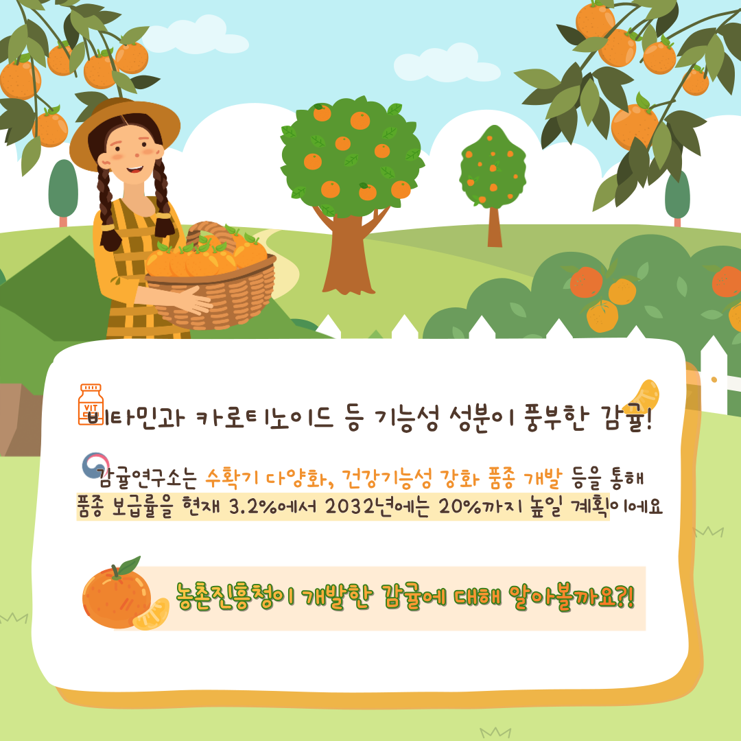 비타민과 카로티노이드 등 기능성 성분이 풍부한 감귤! 감귤연구소는 수확기 다양화, 건강기능성 강화 품종 개발 등을 통해 품종 보급률을 현재 3.2%에서 2032년에는 20%까지 높일 계획이에요 농촌진흥청이 개발한 감귤에 대해 알아볼까요?!