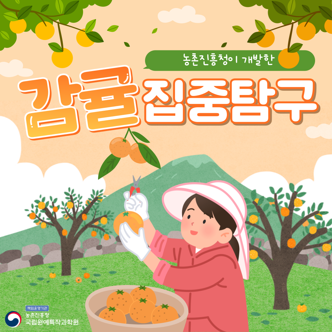 농촌진흥청에 개발한 감귤 집중탐구 책임운영기관 농촌진흥청 국립원예특작과학원
