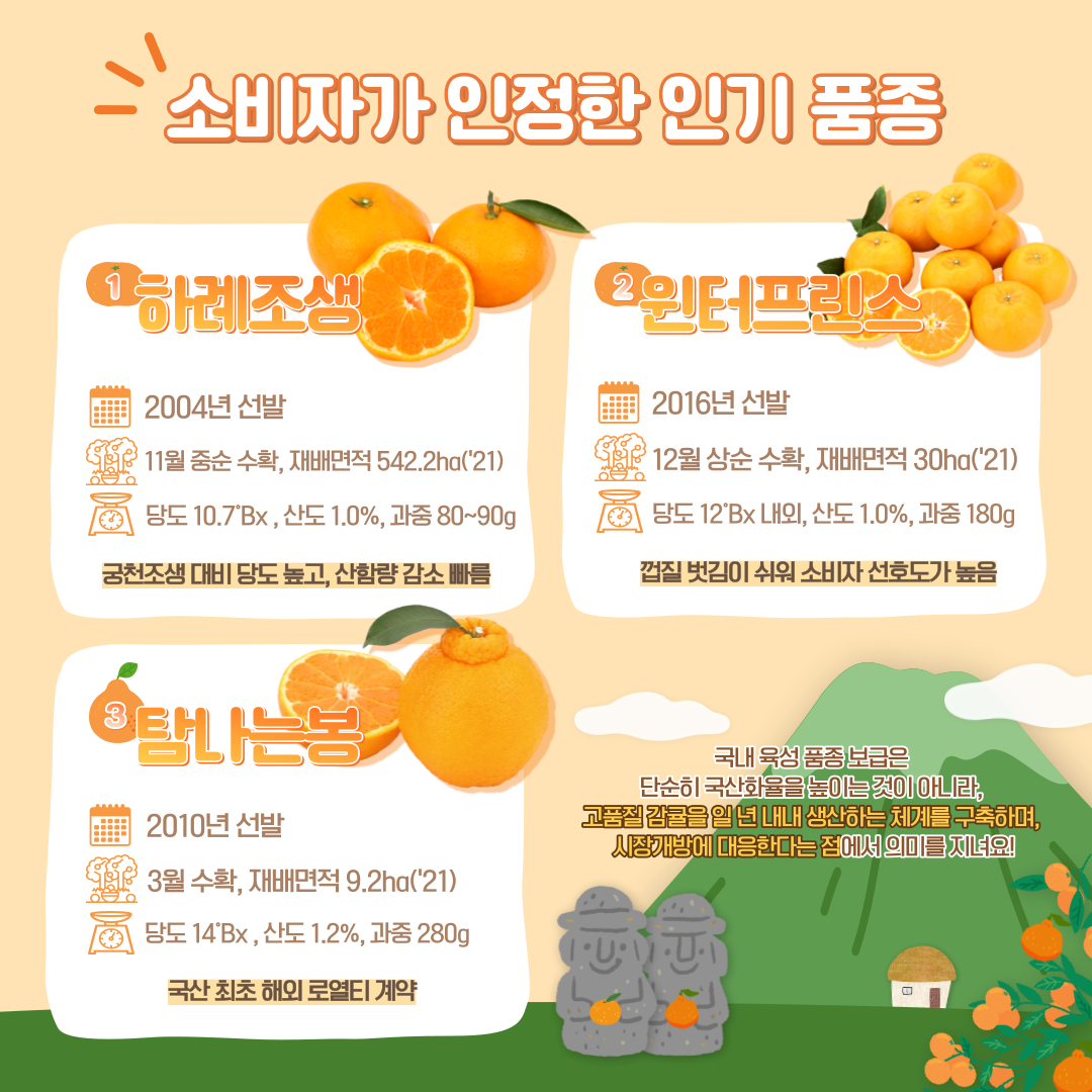 소비자가 인정한 인기 품종 1. 하례 조생 2004년 선발, 11월 중순 수확, 재배면적 542.2ha('21) 당도 10.7브릭스, 산도 1.0%, 과중 80~90g 궁천조생 대비 당도 높고, 산함량 감소 빠름 2. 윈터프린스 2016년 선발 12월 상순 수확, 재배면적 30ha('21) 당도 12브릭스 내외, 산도 1.0%, 과중 180g 껍질벗김이 쉬워 소비자 선호도가 높음 3. 탐나는봉 2010년 선발 3월 수확, 재배면적 9.2ha('21) 당도 14브릭스, 산도 1.2%, 과중 280g 국산 최초 해외 로열티 계약 국내 육성 품종 보급은 단순히 국산화율을 높이는 것이 아니라, 고품질 감귤을 일 년 내내 생산하는 체계를 구축하며, 시장개방에 대응한다는 점에서 의미를 지녀요!
