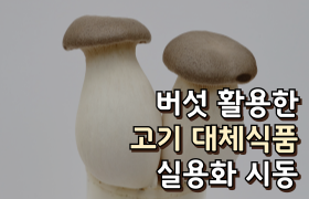 [썸네일 이미지] 버섯 활용한 고기 대체식품 실용화 시동