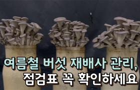 [썸네일 이미지] 여름철 버섯 재배사 관리, 점검표 꼭 확인하세요