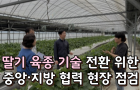 [썸네일 이미지] 딸기 육종 기술 전환을 위한 중앙·지방 협력 현장 점검