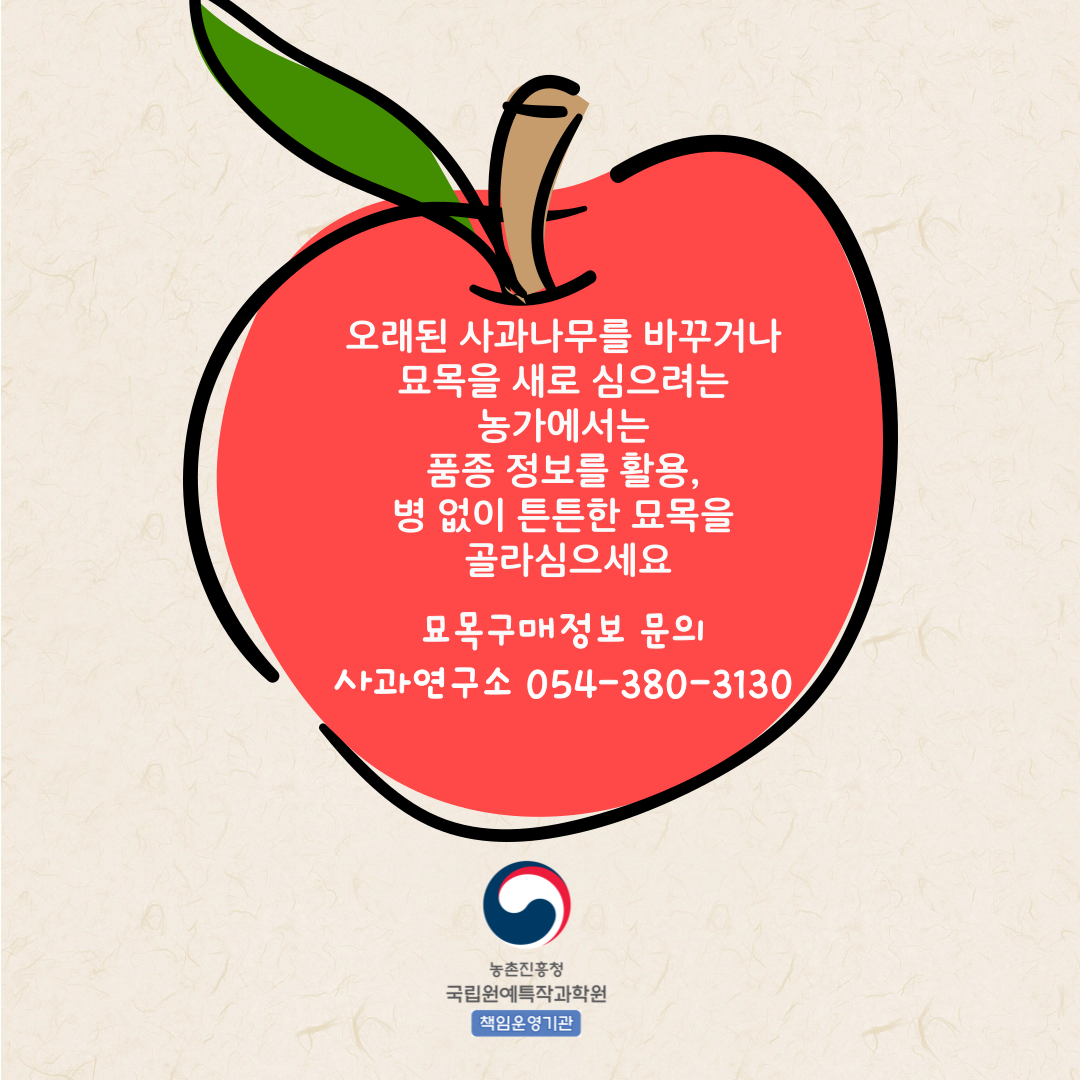 오래된 사과나무를 바꾸거나 묘목을 새로 심으려는 농가에서는 품종 정보를 활용, 병 없이 튼튼한 묘목을 골라심으세요 묘목구매정보 문의 사과연구소 054-380-3130 농촌진흥청 국립원예특작과학원 책임운영기관 