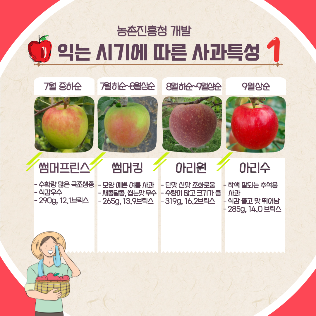 농촌진흥청 개발 익는 시기에 따른 사과특성 1 7월 중하순 썸머프린스 수확량 많은 극조생종 식감우수 290g, 12브릭스 7월하순~8월상순 썸머킹 모양 예쁜 여름 사과 새콤달콤, 씹는맛 우수 265g, 13.9브릭스 8월 하순~9월상순 아리원 단맛 신맛 조화로움 수량이 많고 크기가 큼 319g, 16.2브릭스 9월상순 아리수 착색 잘되는 추석용 사과 식감 좋고 맛 뛰어남 285g, 14.0브릭스 
