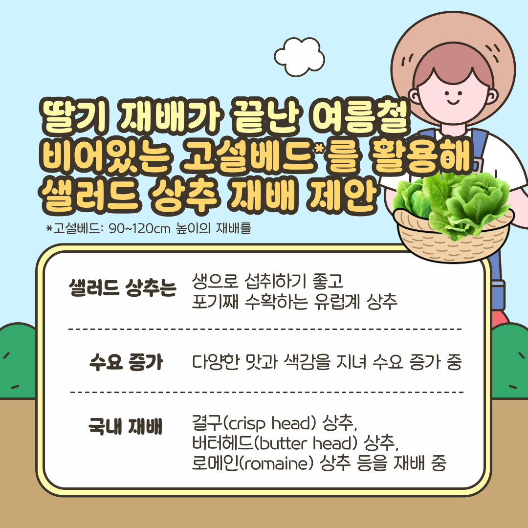 딸기 재배가 끝난 여름철 비어있는 고설베드*를 활용해 샐러드 상추 재배 제안 *고설베드: 90~120cm 높이의 재배틀 샐러드 상추: 생으로 섭취하기 좋고 포기째 수확하는 상추 수요 증가: 다양한 맛과 색감을 지녀 수요 증가 중 국내재배: 결구(crisp head) 상추, 버터헤드(butter head) 상추, 로메인(romaine) 상추 등을 재배 중