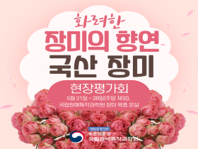 [썸네일 이미지] 화려한 장미의 향연, 국산 장미 현장 평가회