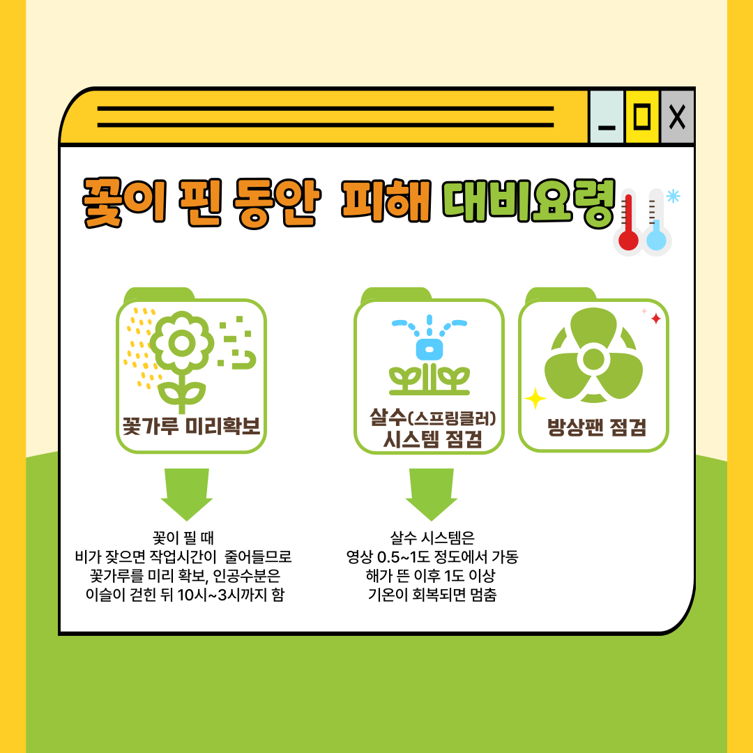 꽃이 핀 동안 피해 대비요령 꽃가루 미리 확보 -> 꽃이 필 때 비가 잦으면 작업시간이 줄어들므로 꽃가루를 미리 확보, 인공수분은 이슬이 걷힌 뒤 10시~3시까지 함 살수(스프링쿨러)시스템 점검 방상팬 점검 -> 살수 시스템은 영상 0.5~1도 정도에서 가동 해가 뜬 이후 1도 이상 기온이 회복되면 멈춤 
