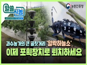 [썸네일 이미지] [알쓸신농] 감귤, 블루베리 해충 '알락하늘소' 대량 포획장치 개발 🤩앗~싸!!