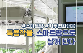 [썸네일 이미지] 특용작물, 스마트팜으로 날개 단다~🤩 날아오르라 특용이여~