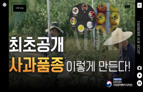 [썸네일 이미지] [농자역학] ☆최초공개☆ 사과 품종 이렇게 만듭니다!