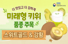[썸네일 이미지] 키위는 전부 외국산? 잘 나가는 국산 🥝골드키위가 있다!