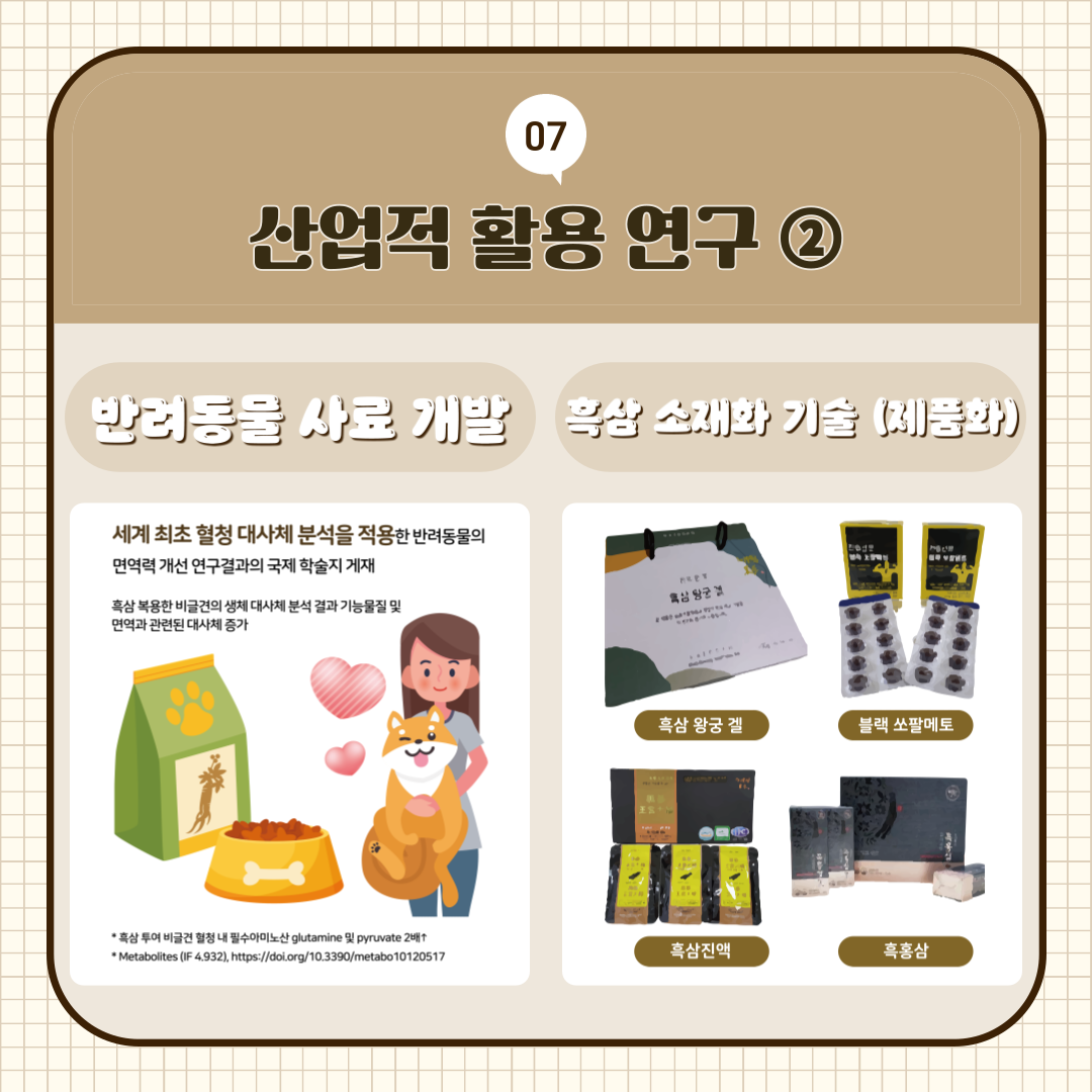 07 산업적 활용 연구 ② 반려동물 사료개발 세계 최초 대사체 분석을 적용한 반려동물의 면역력 개선 연구결과의 국제 학술지 게재 흑삼 복용한 비글견의 생체 대사체 분석 결과 기능물질 및 면역과 관련된 대사체 증가 *흑삼 투어 비글견 혈정 내 필수아미노산 glutamine 및 pyruvate 2배↑ *Metabolites (IF 4.932), https://doi.org/10.3390/metabo10120517 흑삼 소재화 기술 (제품화) 흑삼 왕궁 겔 블랙 쏘팔메토 흑삼진액 흑홍삼