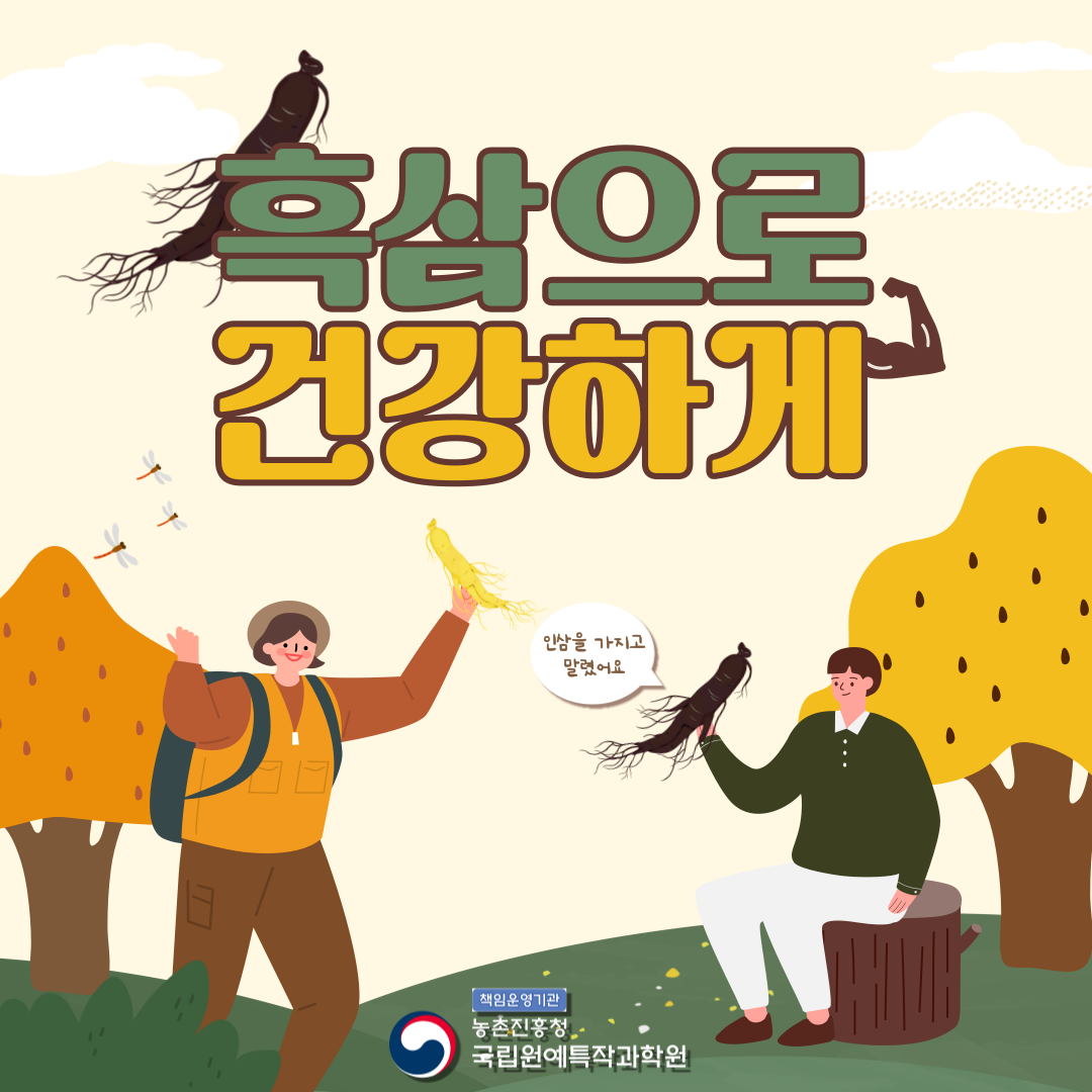 흑삼으로 건강하게 인삼을 가지고 말렸어요 책임운영기관 농촌진흥청 국립원예특작과학원